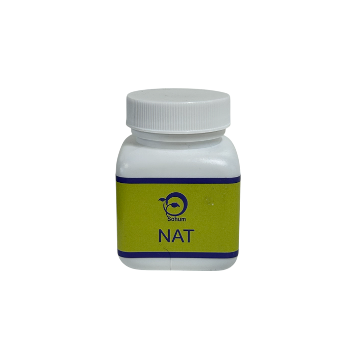 NAT (Neem Amla Turmeric) 90 Tablets